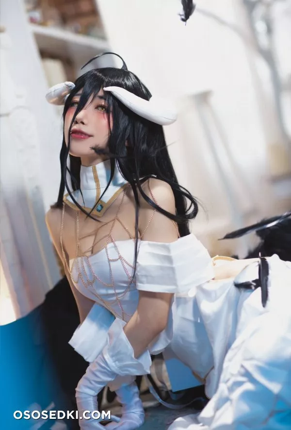 Aqua | Albedo - 15