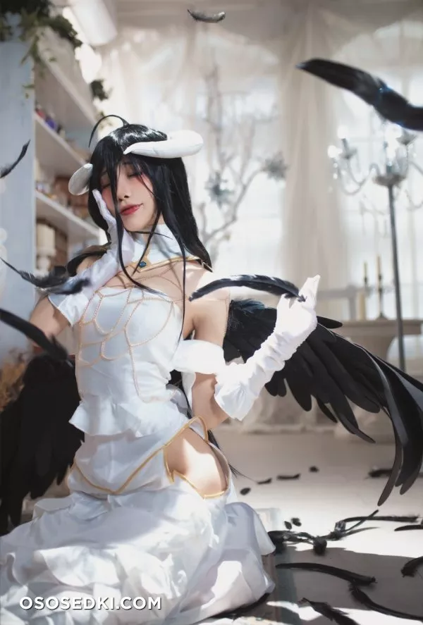 Aqua | Albedo - 19