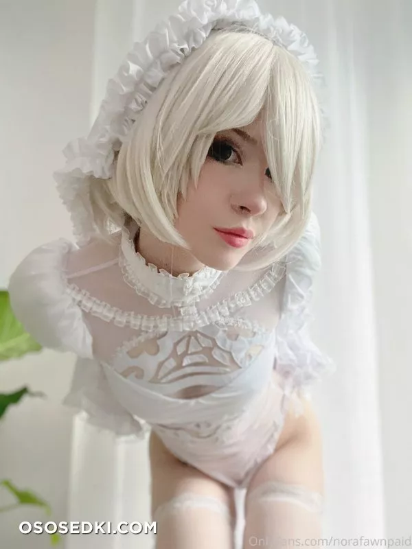 Nora Fawn | 2B - 23