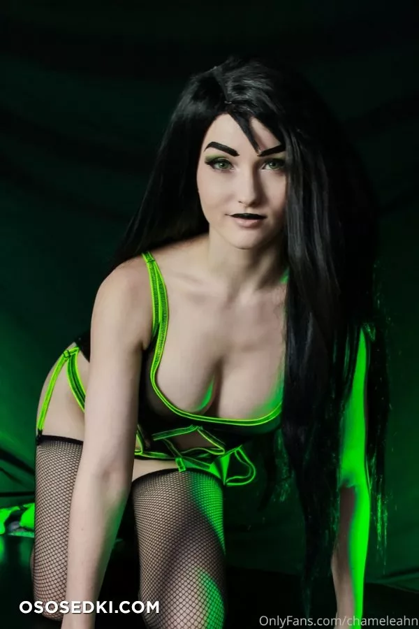 ChameLeahn | Shego - 13