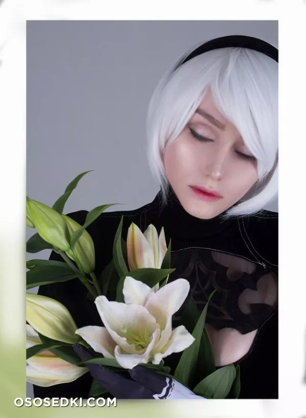 Shadory | 2B - 16