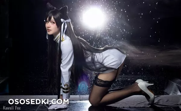 Kawaii Fox - 38