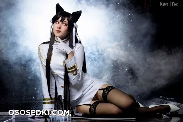 Kawaii Fox - 42