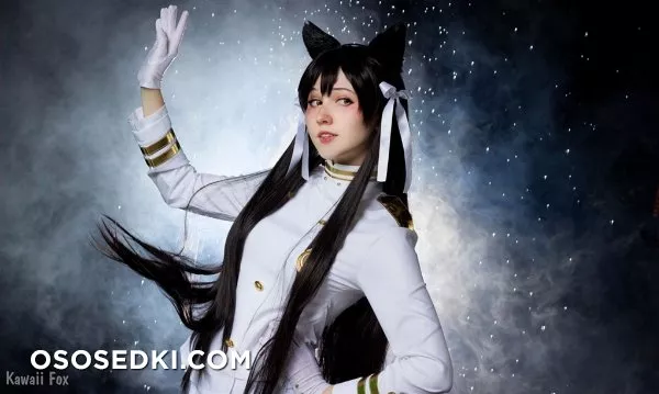 Kawaii Fox - 44