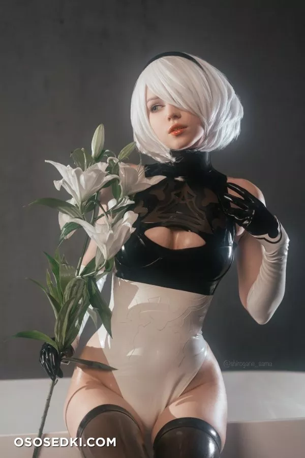 Shirogane-sama - 2B - 1