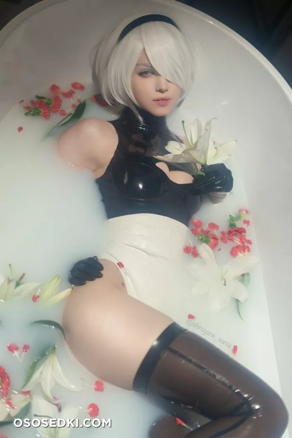 Shirogane-sama - 2B - 2