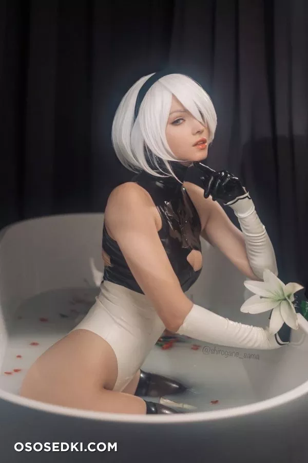Shirogane-sama - 2B - 8