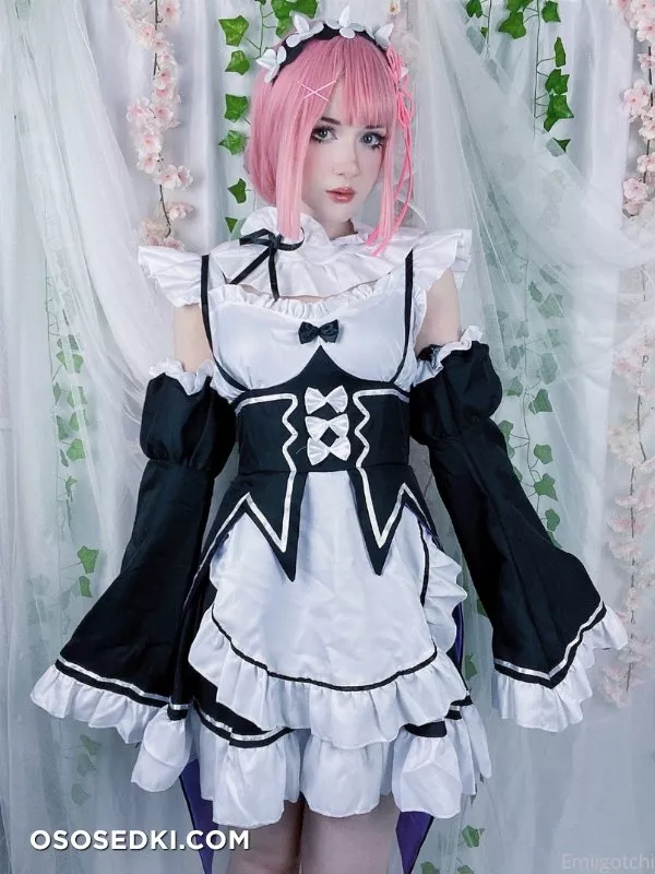 Emiigotchi - Ram - 1
