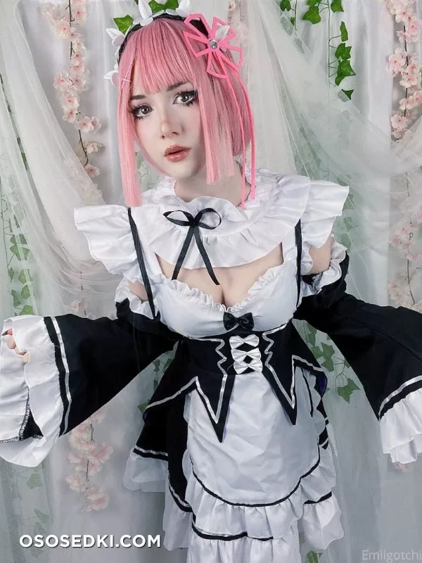 Emiigotchi - Ram - 3