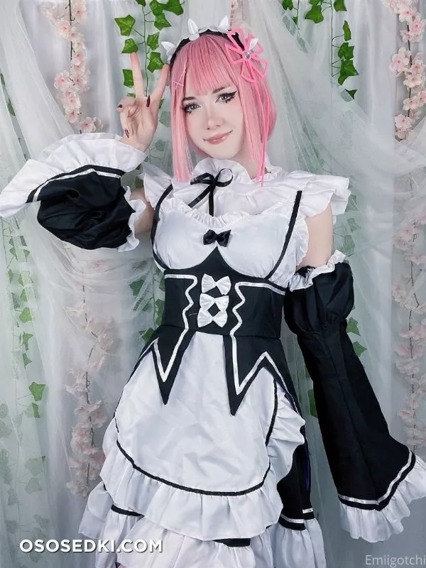Emiigotchi - Ram - 6