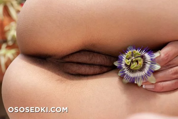 Megan Muse - Floral - 61