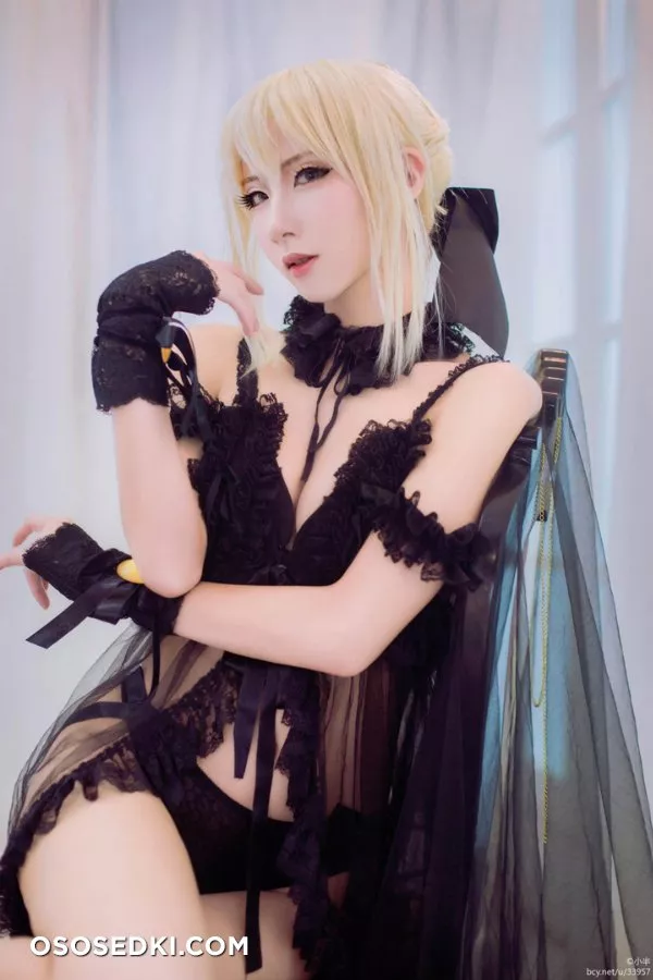 SesshuAsuak (半半子),  | Fate | Saber - 14