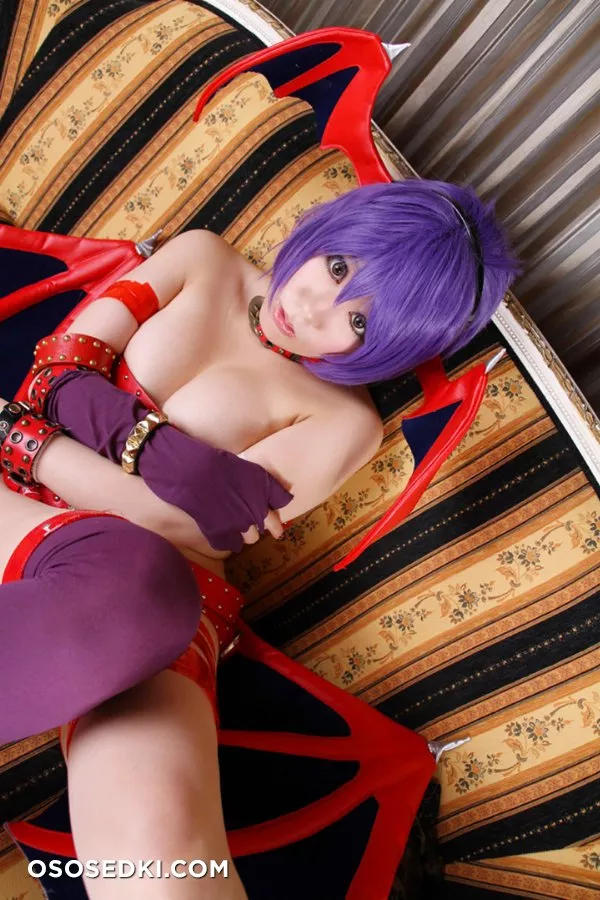 Ringo Mitsuki (HERESY) | Darkstalkers | Lilith Aensland - 14