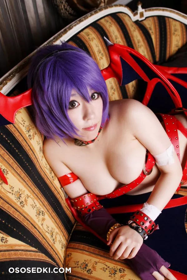 Ringo Mitsuki (HERESY) | Darkstalkers | Lilith Aensland - 15