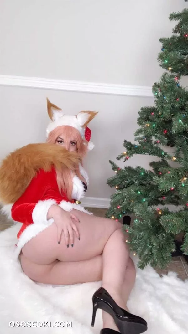Teid | Fate | Tamamo no Mae Xmass - 7