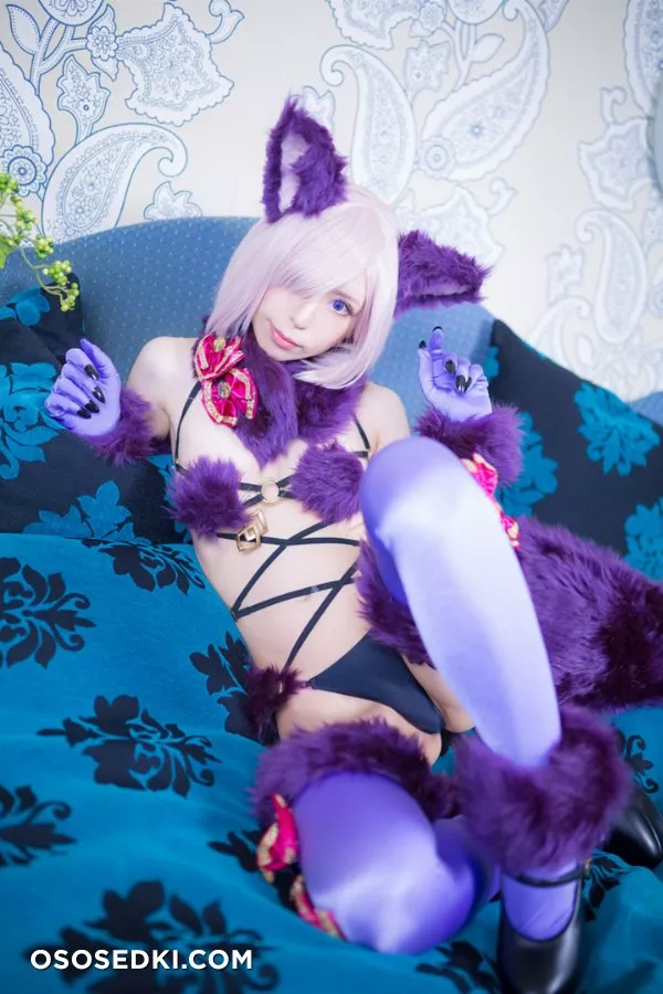 Miyako Rio | Fate | Mash Kyrielight - 1