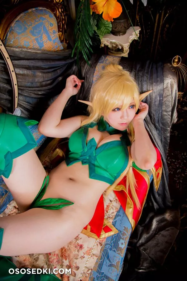 Sakanaya Gupico | Queen's Blade | Alleyne - 11