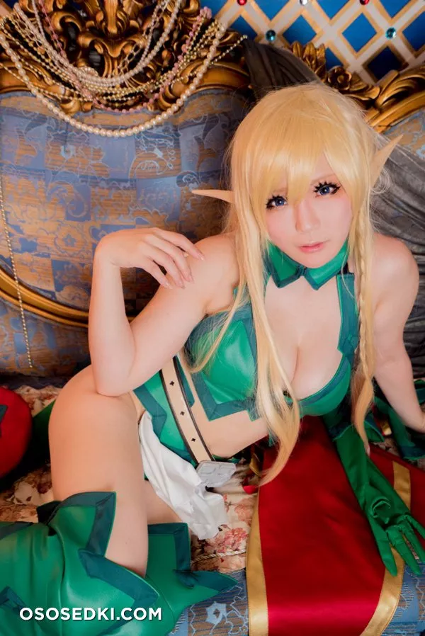 Sakanaya Gupico | Queen's Blade | Alleyne - 17