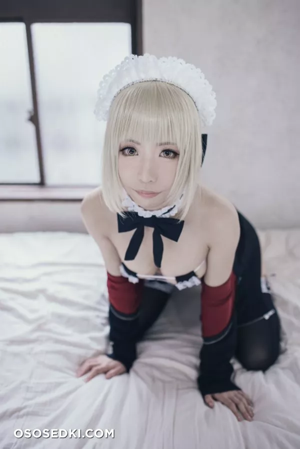 Flemani (Fleia) | Fate | Saber maid - 29