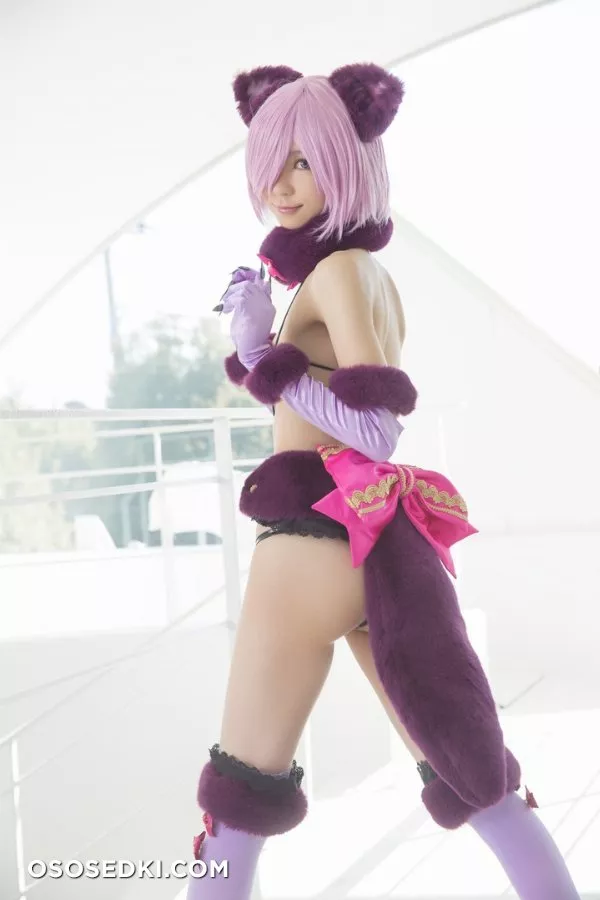 Mikehouse | Fate | Mash Kyrielight - 12