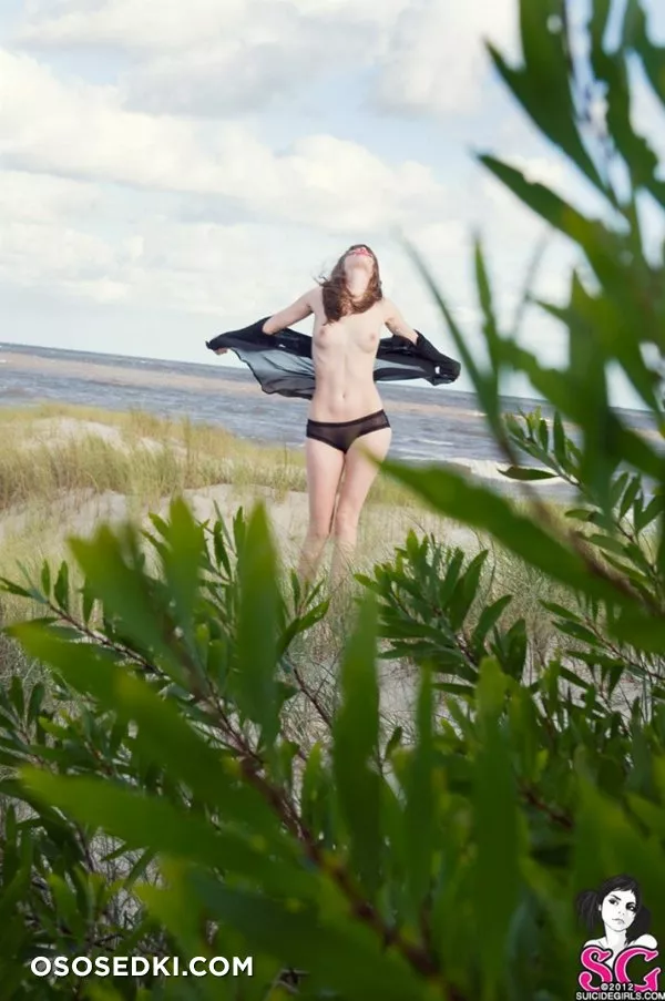 Hanke - Black Diamond Bay - 9