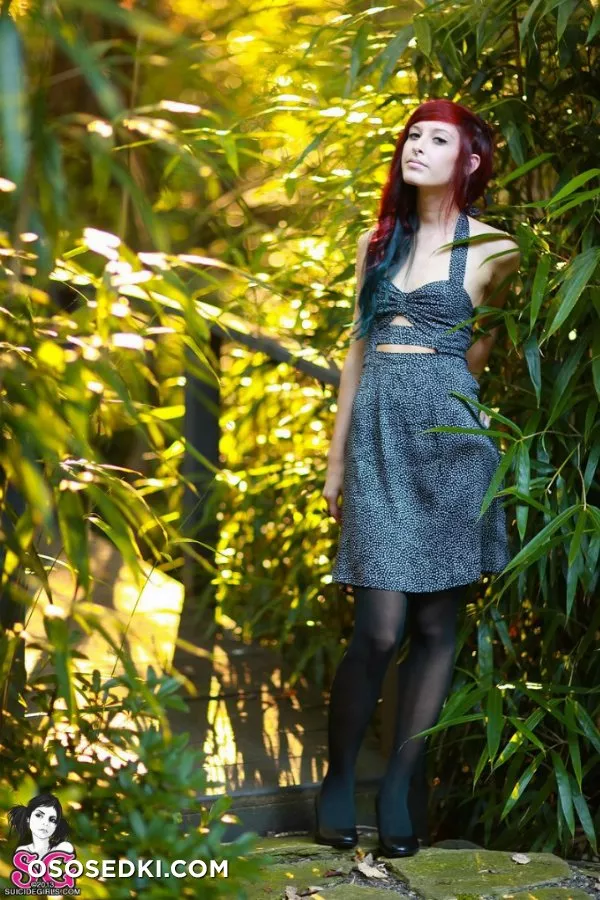 Dutch - Serene - 1