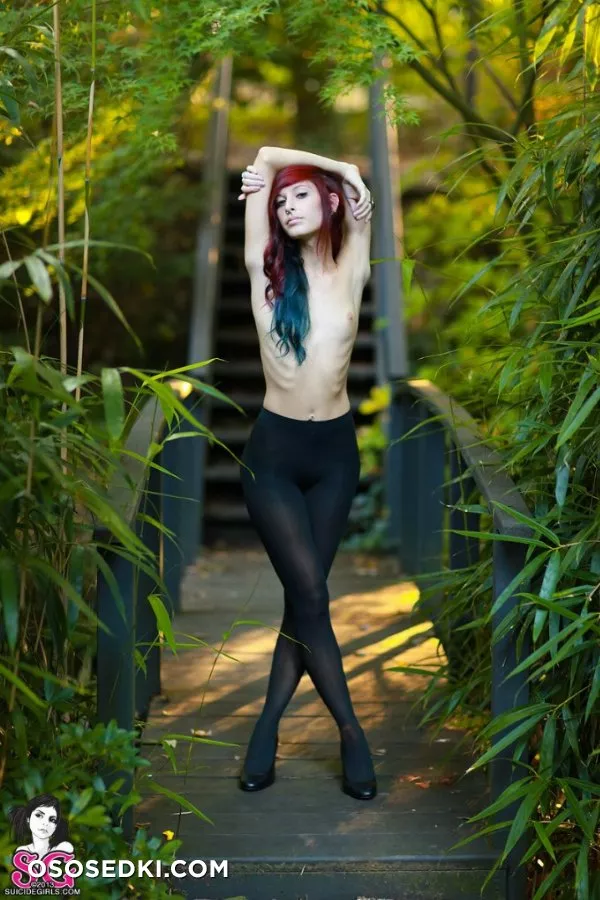 Dutch - Serene - 10