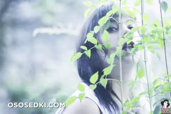 Greyvelvet - Garden Of Serenity - 1