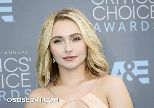 Хайден Панеттьери голая - фото Hayden Panettiere - 39