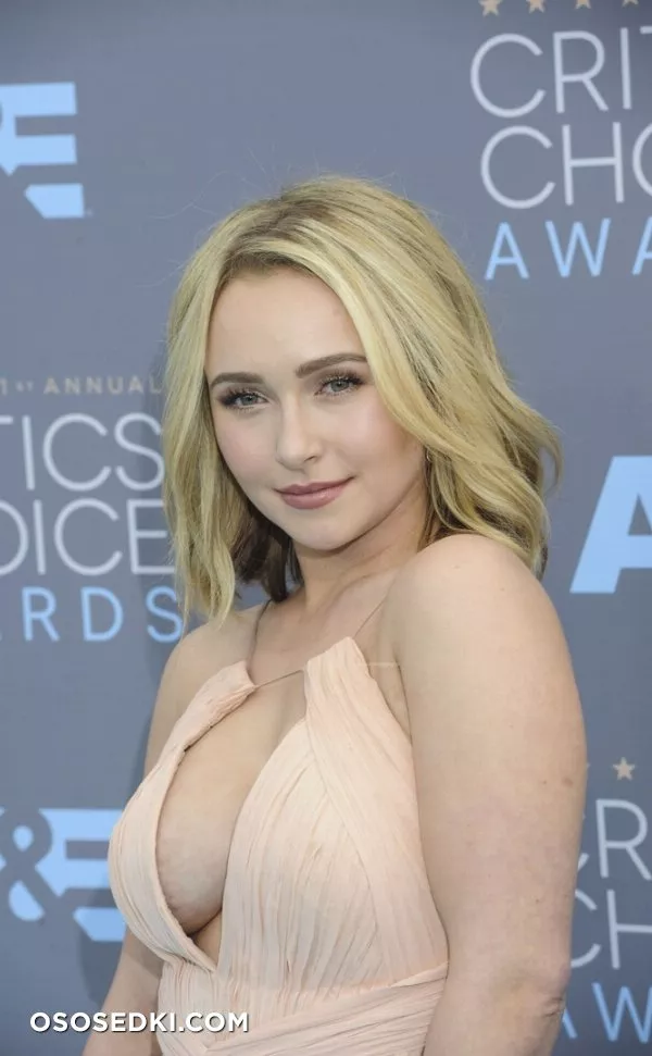 Хайден Панеттьери голая - фото Hayden Panettiere - 54