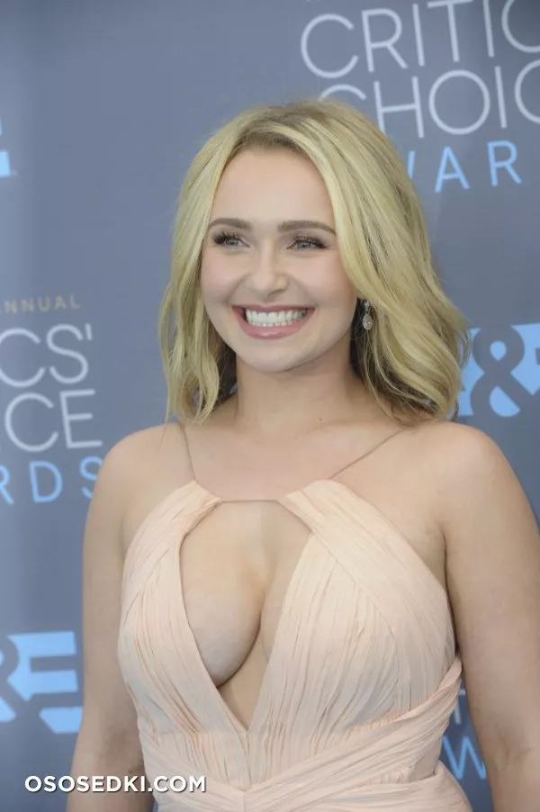 Хайден Панеттьери голая - фото Hayden Panettiere - 55