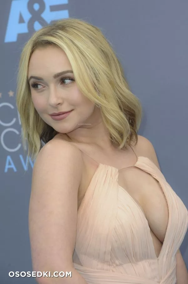 Хайден Панеттьери голая - фото Hayden Panettiere - 56