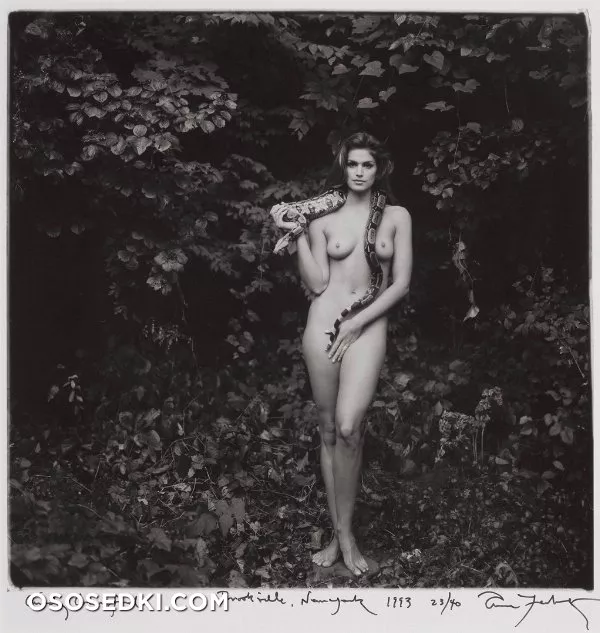 Синди Кроуфорд (Cindy Crawford) голая - 1