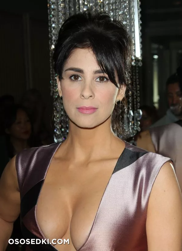 Сара Сильверман (Sarah Silverman) голая - 8