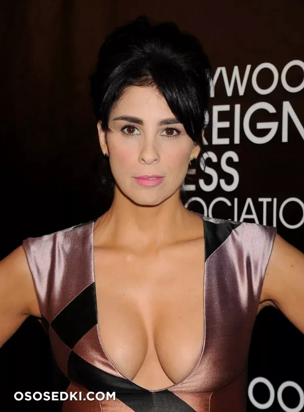 Сара Сильверман (Sarah Silverman) голая - 14