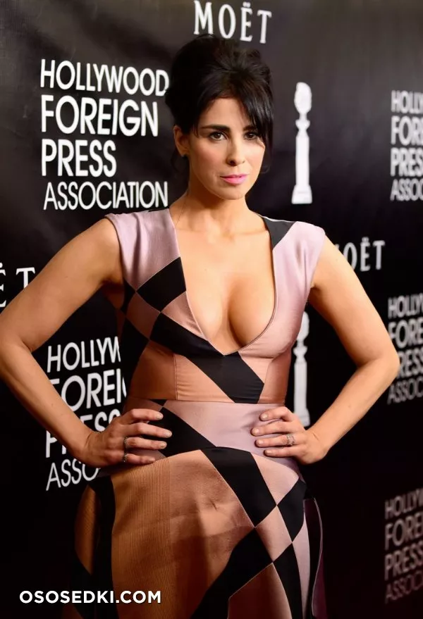Сара Сильверман (Sarah Silverman) голая - 34