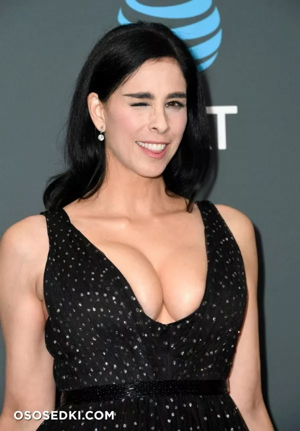 Сара Сильверман (Sarah Silverman) голая - 98