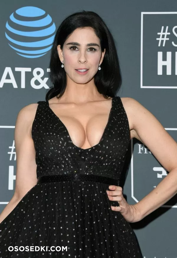 Сара Сильверман (Sarah Silverman) голая - 103