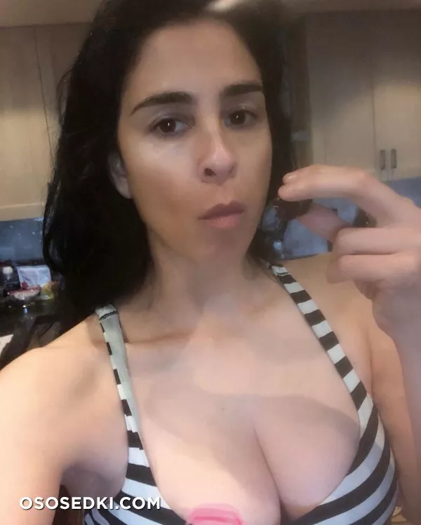 Сара Сильверман (Sarah Silverman) голая - 139
