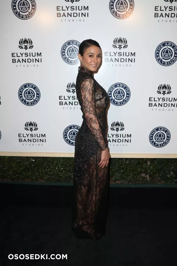 Эммануэль Шрики голая - фото Emmanuelle Chriqui - 57