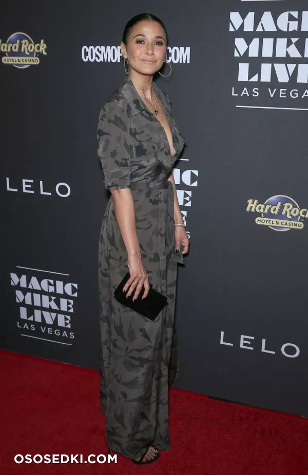 Эммануэль Шрики голая - фото Emmanuelle Chriqui - 65