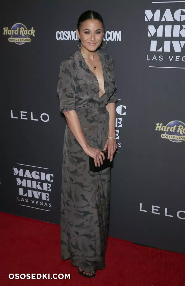 Эммануэль Шрики голая - фото Emmanuelle Chriqui - 66