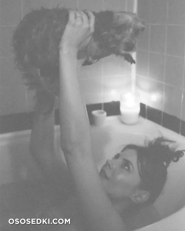 Уилла Холланд (Willa Holland) голая и сексуальная - 64