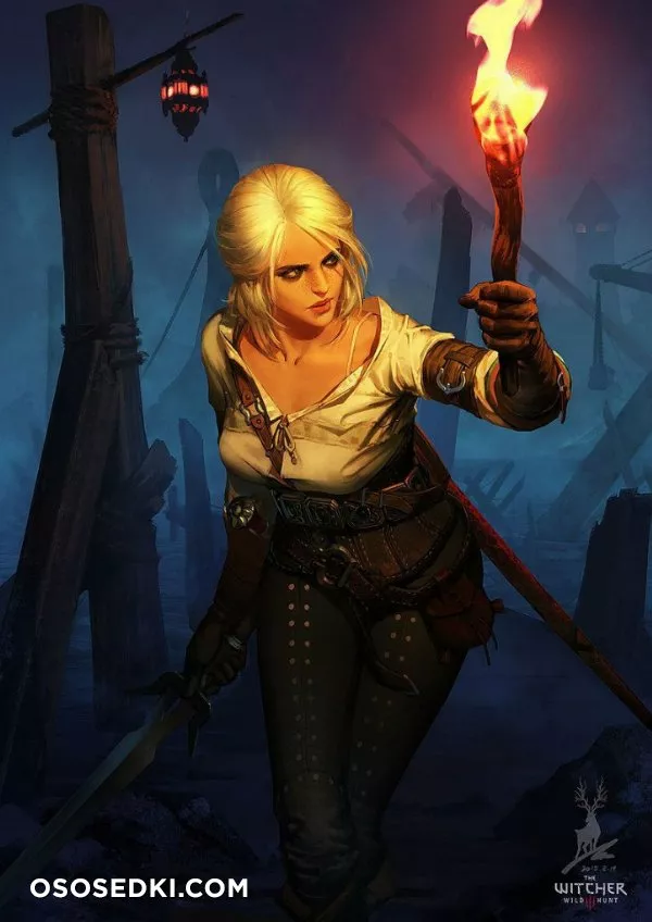 Witcher - 9
