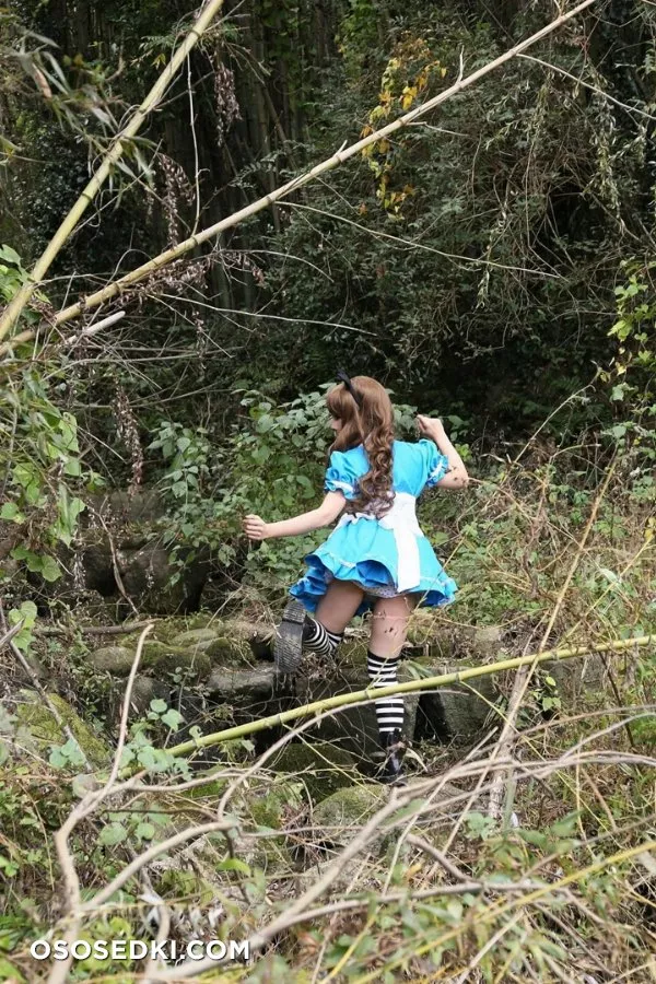 Alice Continued - 7