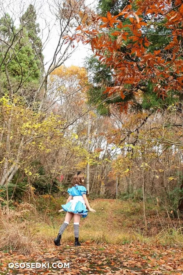 Alice Continued - 53