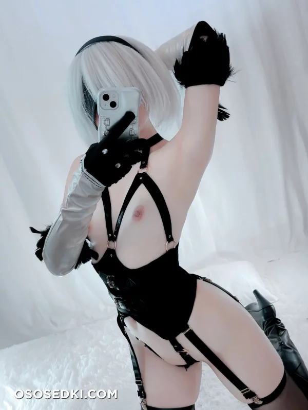 Ayame - 2b - Nier Automata nude. Onlyfans, Patreon leaked 19 nude photos and videos