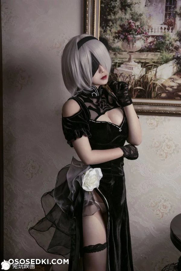 【NieR:Automata】2B nude. Onlyfans, Patreon leaked 45 nude photos and videos