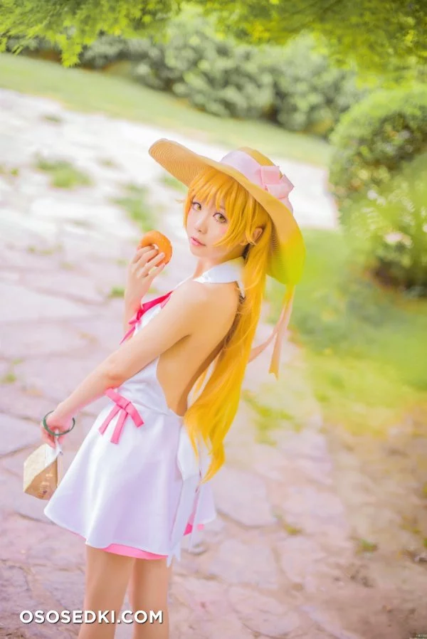 星之迟迟 - 忍野忍 nude. Onlyfans, Patreon, Fansly leaked 28 nude photos and videos