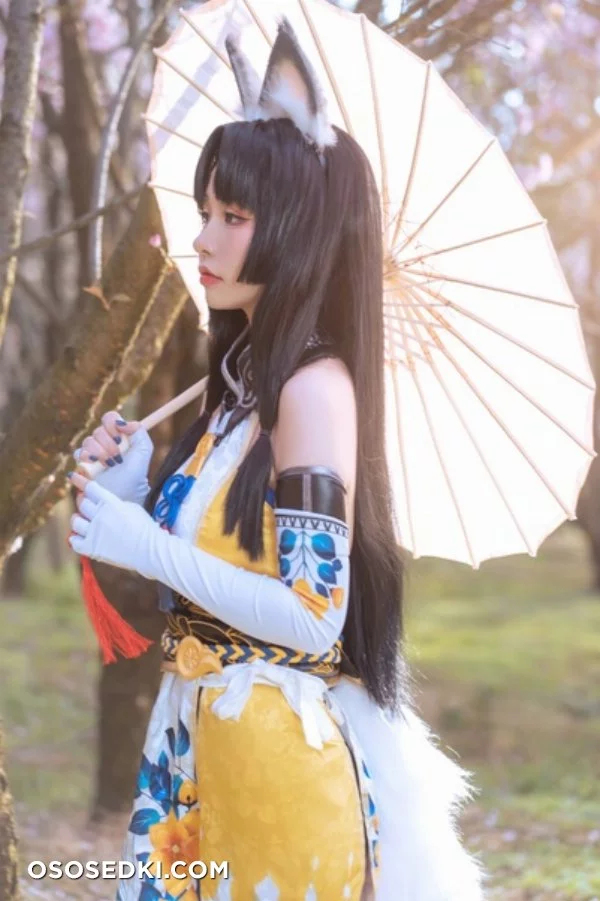 Nekokoyoshi -Tsuchimikado Kurumi nude. Onlyfans, Patreon, Fansly leaked 48 nude photos and videos